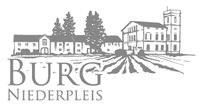 Logo Burg Niederpleis